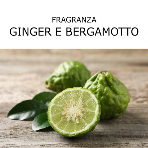 KLULK Diffusore Profumo Ambiente Con Bastoncini Fragranza Ginger E  Bergamotto 250 Ml Lunga Durata E Intensità Made In Italy