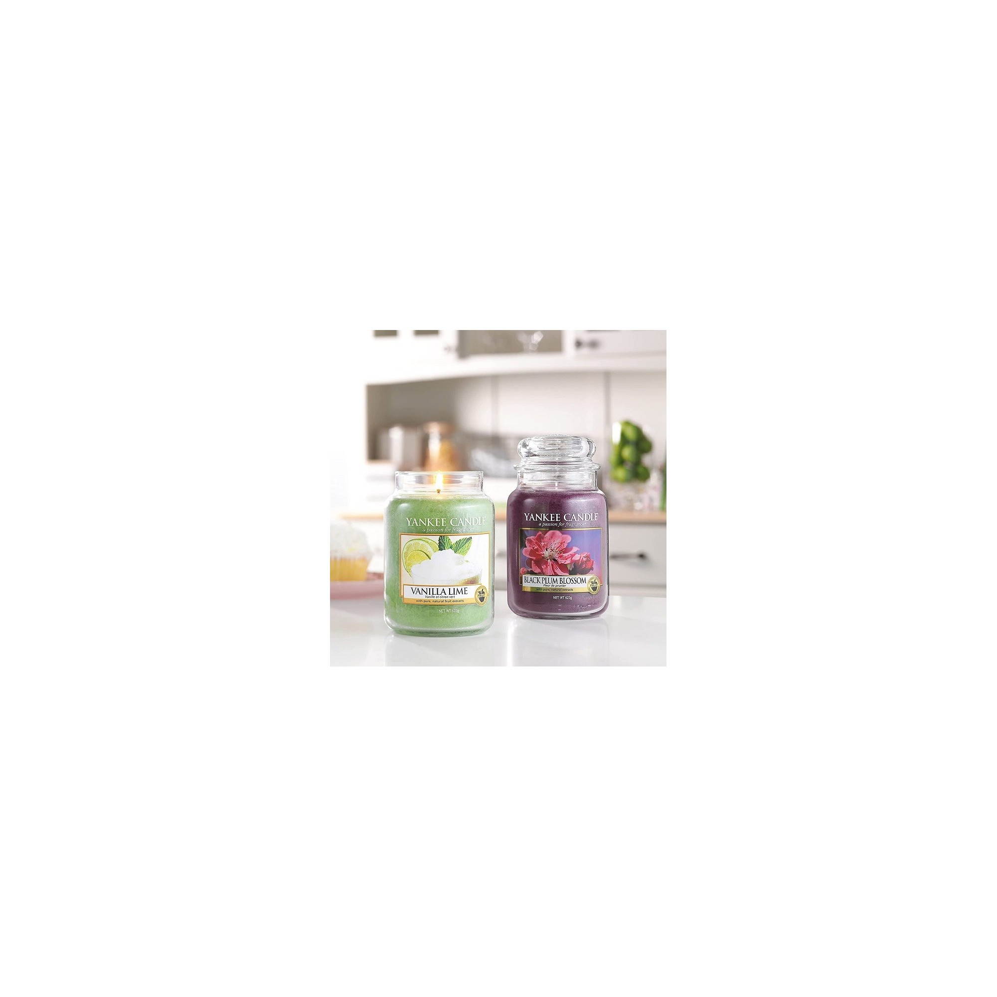 Yankee candle offerte candele tumblr giara grande Vanilla Lime 1630721E